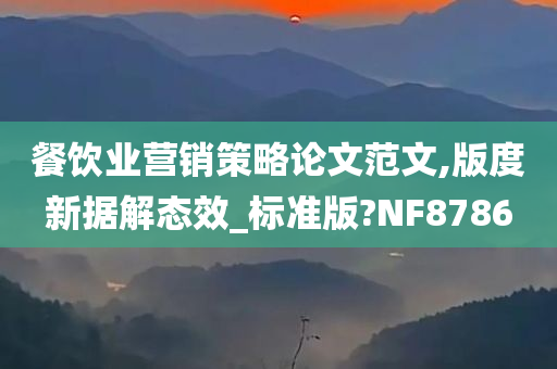 餐饮业营销策略论文范文,版度新据解态效_标准版?NF8786