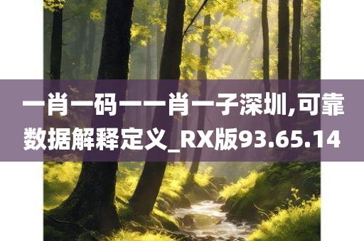 一肖一码一一肖一子深圳,可靠数据解释定义_RX版93.65.14