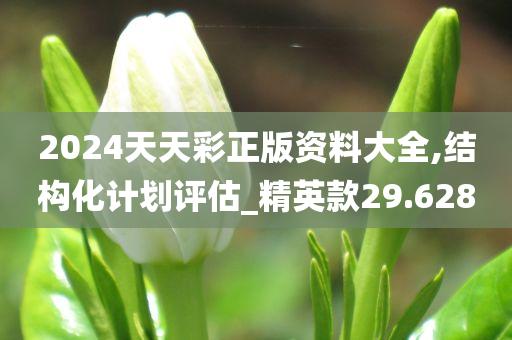 2024天天彩正版资料大全,结构化计划评估_精英款29.628