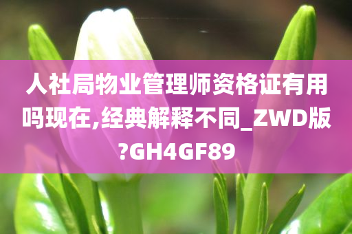 人社局物业管理师资格证有用吗现在,经典解释不同_ZWD版?GH4GF89