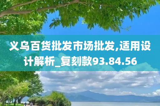 义乌百货批发市场批发,适用设计解析_复刻款93.84.56