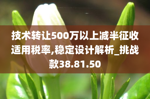 技术转让500万以上减半征收适用税率,稳定设计解析_挑战款38.81.50