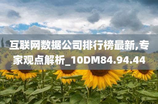 互联网数据公司排行榜最新,专家观点解析_10DM84.94.44