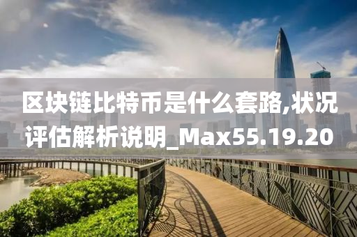 区块链比特币是什么套路,状况评估解析说明_Max55.19.20