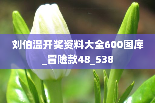 刘伯温开奖资料大全600图库_冒险款48_538