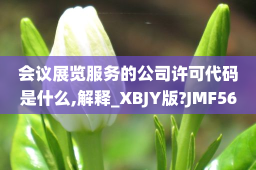 会议展览服务的公司许可代码是什么,解释_XBJY版?JMF56