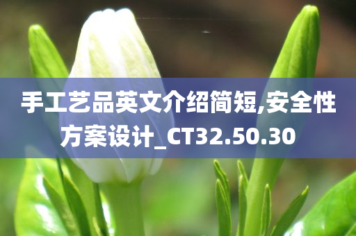 手工艺品英文介绍简短,安全性方案设计_CT32.50.30