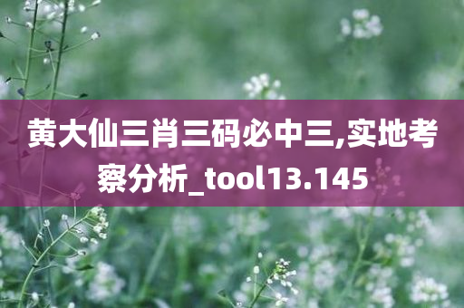 黄大仙三肖三码必中三,实地考察分析_tool13.145