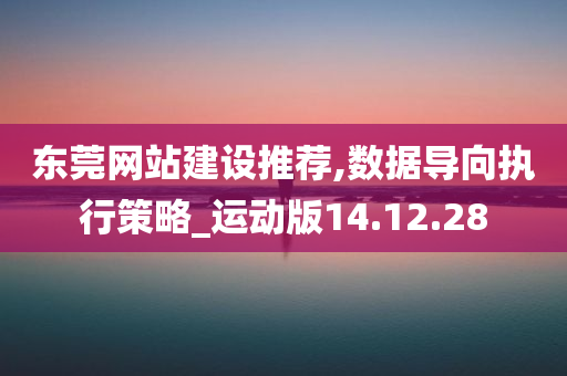 东莞网站建设推荐,数据导向执行策略_运动版14.12.28