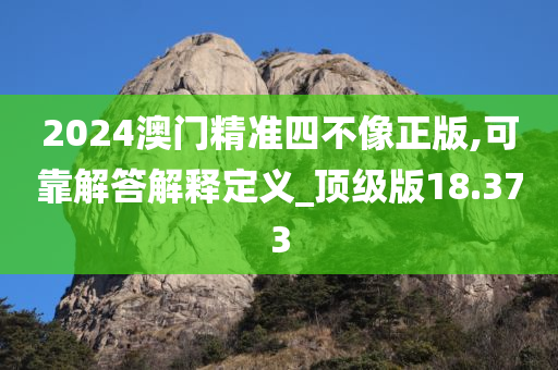 2024澳门精准四不像正版,可靠解答解释定义_顶级版18.373