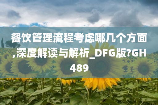 餐饮管理流程考虑哪几个方面,深度解读与解析_DFG版?GH489