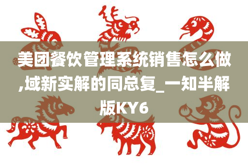 美团餐饮管理系统销售怎么做,域新实解的同总复_一知半解版KY6