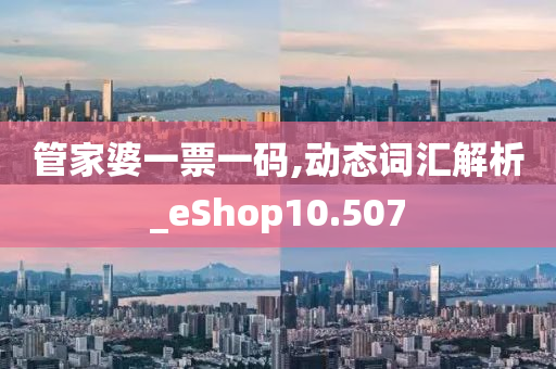 管家婆一票一码,动态词汇解析_eShop10.507