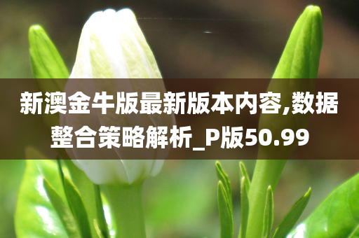 新澳金牛版最新版本内容,数据整合策略解析_P版50.99