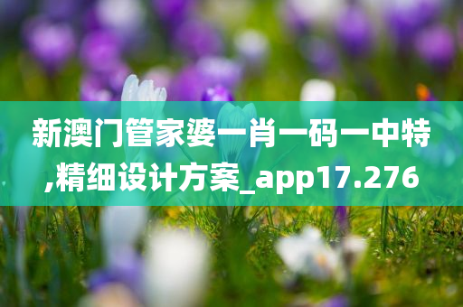 新澳门管家婆一肖一码一中特,精细设计方案_app17.276