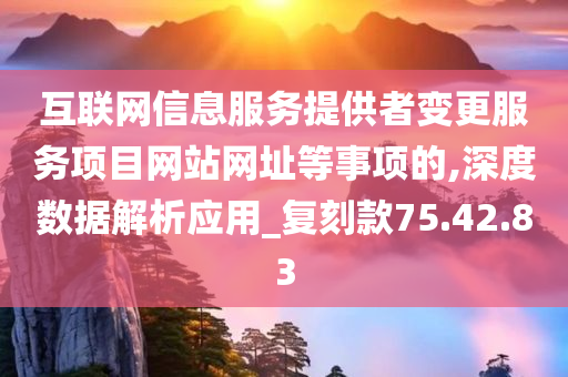 互联网信息服务提供者变更服务项目网站网址等事项的,深度数据解析应用_复刻款75.42.83