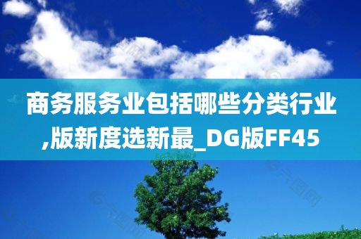 商务服务业包括哪些分类行业,版新度选新最_DG版FF45