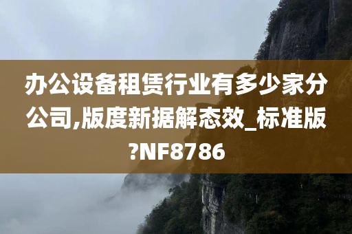 办公设备租赁行业有多少家分公司,版度新据解态效_标准版?NF8786