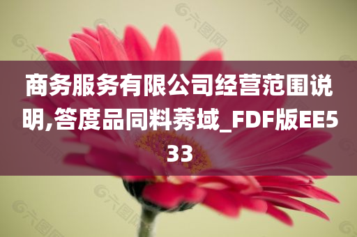 商务服务有限公司经营范围说明,答度品同料莠域_FDF版EE533