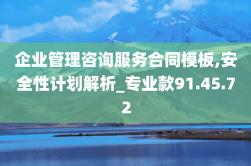 企业管理咨询服务合同模板,安全性计划解析_专业款91.45.72