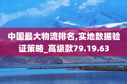 中国最大物流排名,实地数据验证策略_高级款79.19.63