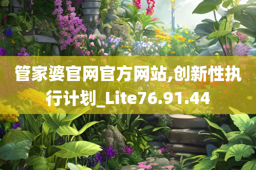 管家婆官网官方网站,创新性执行计划_Lite76.91.44