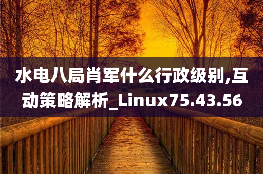 水电八局肖军什么行政级别,互动策略解析_Linux75.43.56