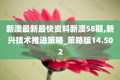 新澳最新最快资料新澳58期,新兴技术推进策略_策略版14.502