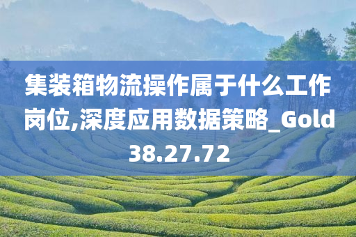 集装箱物流操作属于什么工作岗位,深度应用数据策略_Gold38.27.72