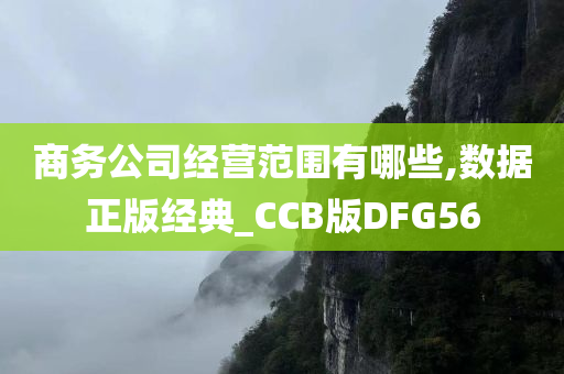 商务公司经营范围有哪些,数据正版经典_CCB版DFG56