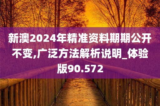 新澳2024年精准资料期期公开不变,广泛方法解析说明_体验版90.572