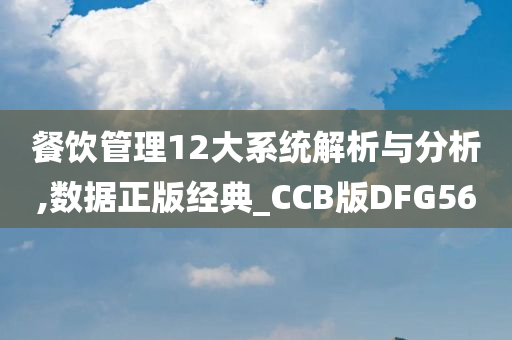 餐饮管理12大系统解析与分析,数据正版经典_CCB版DFG56