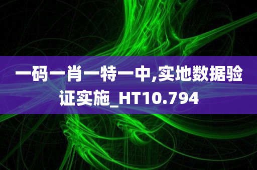 一码一肖一特一中,实地数据验证实施_HT10.794