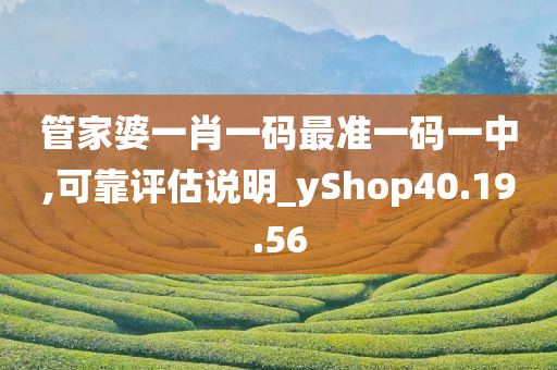 管家婆一肖一码最准一码一中,可靠评估说明_yShop40.19.56