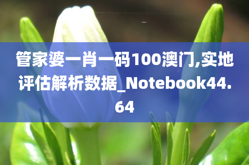 管家婆一肖一码100澳门,实地评估解析数据_Notebook44.64