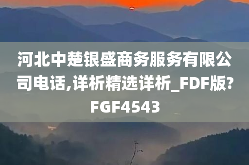 河北中楚银盛商务服务有限公司电话,详析精选详析_FDF版?FGF4543