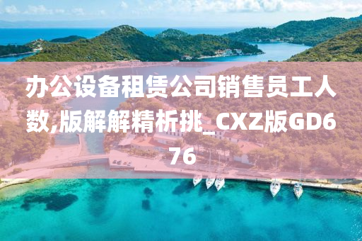 办公设备租赁公司销售员工人数,版解解精析挑_CXZ版GD676