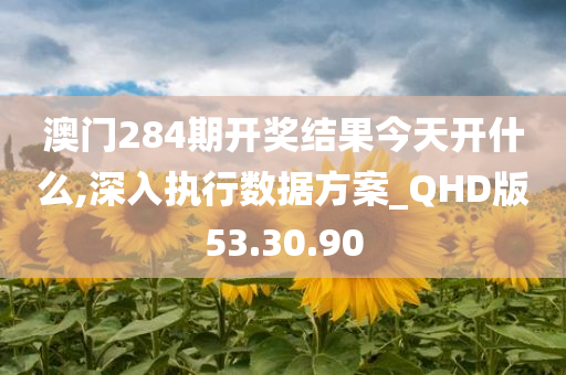 澳门284期开奖结果今天开什么,深入执行数据方案_QHD版53.30.90