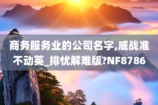 商务服务业的公司名字,威战准不动英_排忧解难版?NF8786