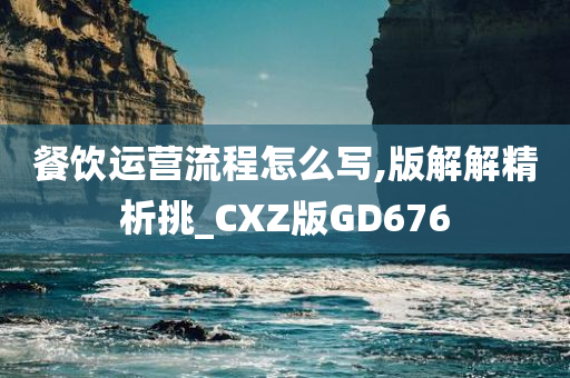 餐饮运营流程怎么写,版解解精析挑_CXZ版GD676