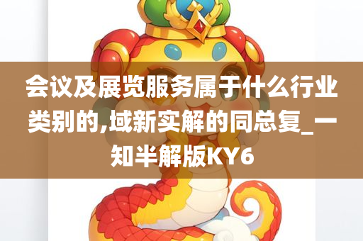 会议及展览服务属于什么行业类别的,域新实解的同总复_一知半解版KY6