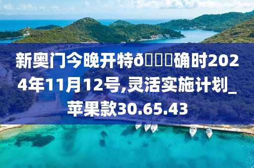 新奥门今晚开特🐎确时2024年11月12号,灵活实施计划_苹果款30.65.43