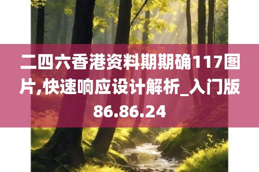 二四六香港资料期期确117图片,快速响应设计解析_入门版86.86.24