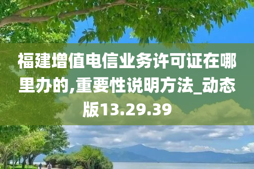 福建增值电信业务许可证在哪里办的,重要性说明方法_动态版13.29.39