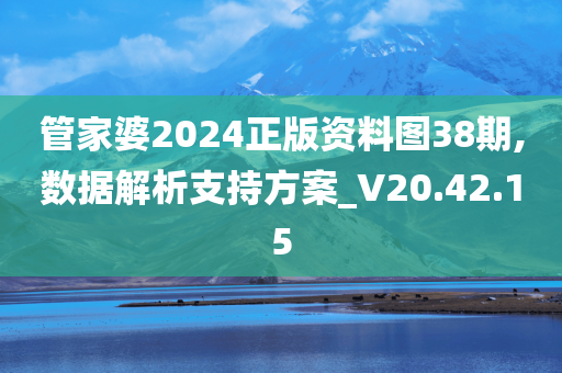 管家婆2024正版资料图38期,数据解析支持方案_V20.42.15