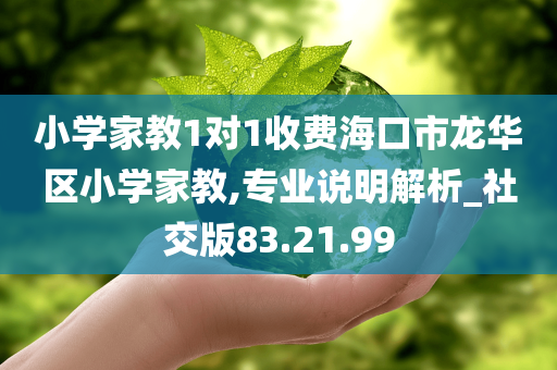 小学家教1对1收费海口市龙华区小学家教,专业说明解析_社交版83.21.99