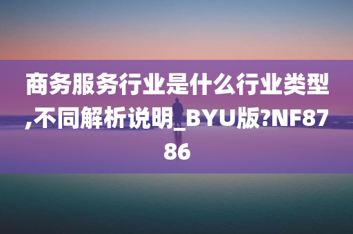 商务服务行业是什么行业类型,不同解析说明_BYU版?NF8786