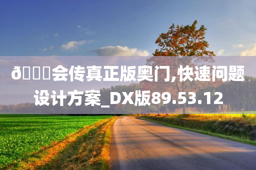 🐎会传真正版奥门,快速问题设计方案_DX版89.53.12