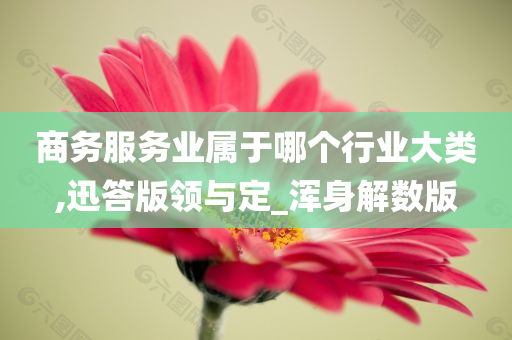 商务服务业属于哪个行业大类,迅答版领与定_浑身解数版