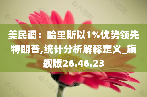 美民调：哈里斯以1%优势领先特朗普,统计分析解释定义_旗舰版26.46.23